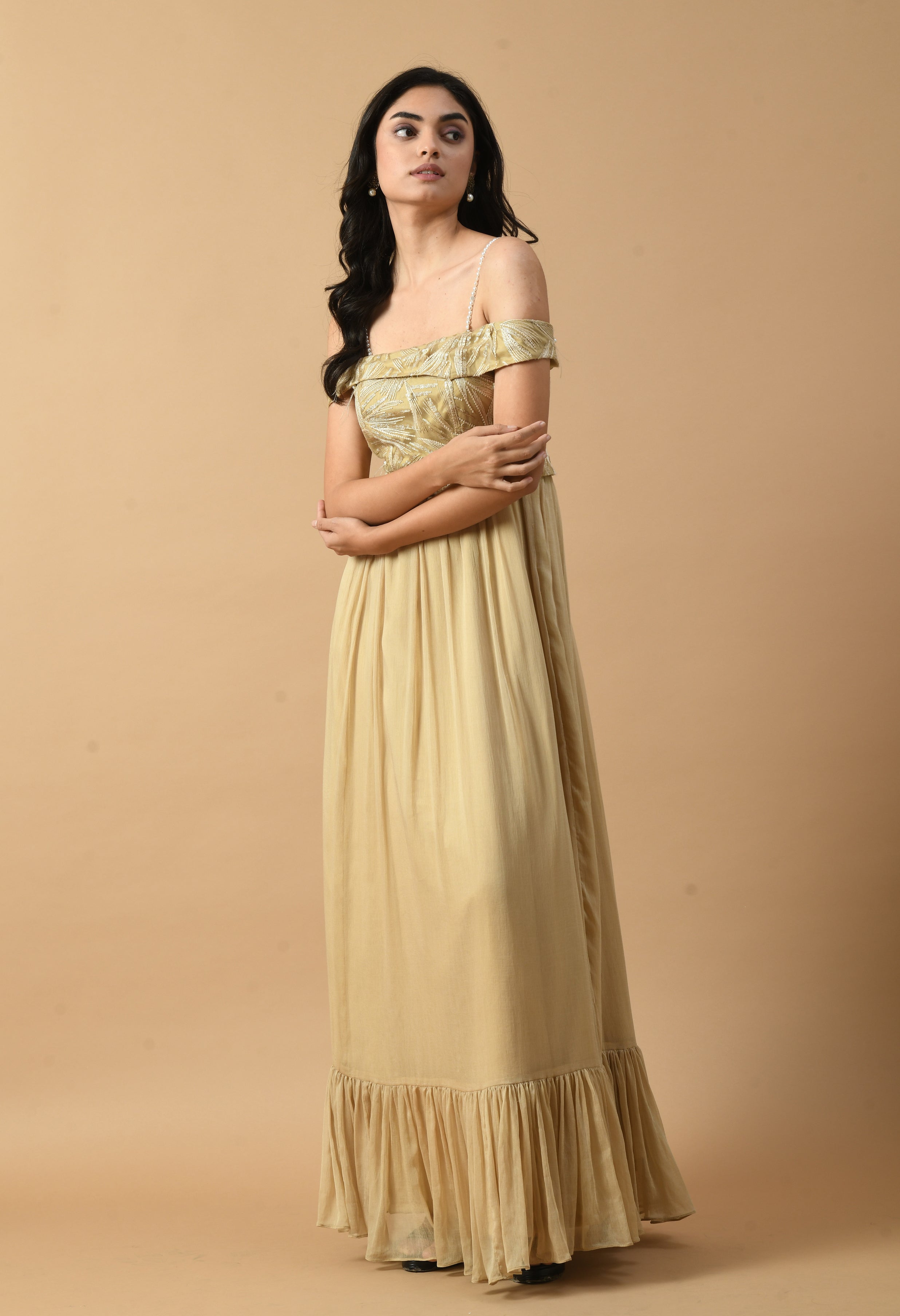 Beige Embroidered Chiffon Dress